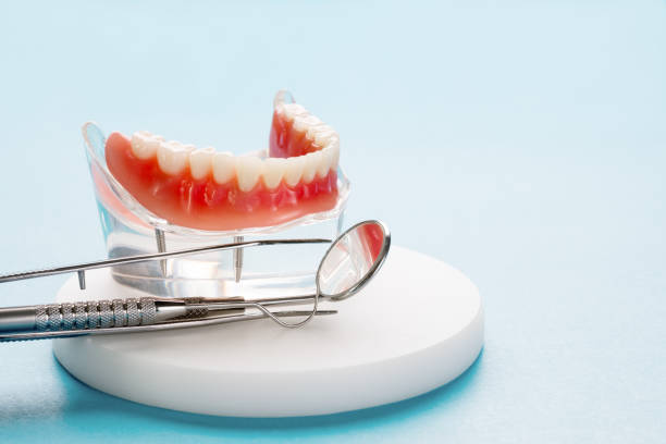 Trusted Olympia Fields, IL  Holistic Dental Services Experts